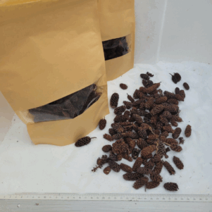 Cones d'aulmes 50gr sous kraft
