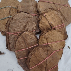 Feuilles de Catappa S  8/10cm +-20pcs
