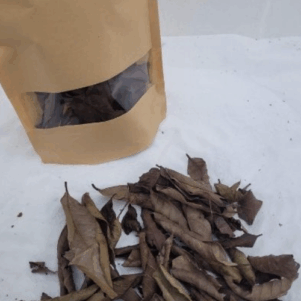 Feuille de Goyave noir +/-10gr sous kraft