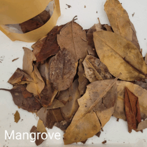 Feuilles de Mangrove +/-10gr sous kraft