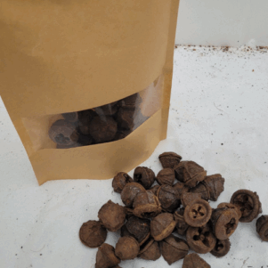 Gousses d'eucalyptus +/-50gr sous kraft