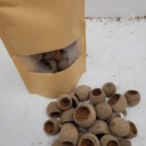 Gousses de gouri +/-50gr sous kraft