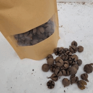 Cosses de wallachi +/-50gr sous kraft
