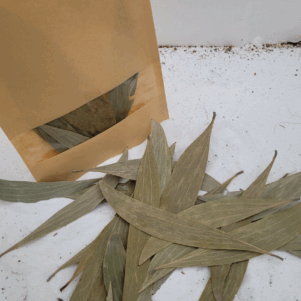 Feuilles d'eucalyptus +/-10gr sous kraft