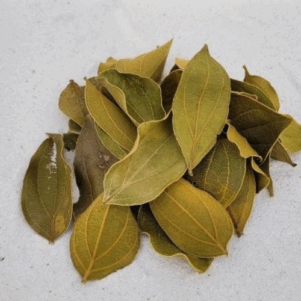 Feuilles de quina (Strychnos pseudoquina) 10gr sous kraft