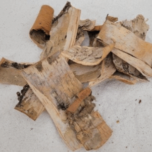 Ecorce de bouleau vrac 50gr