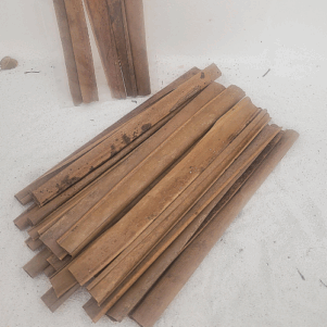 Feuilles de cocotier +/-10gr sous kraft (cocos nucifera)