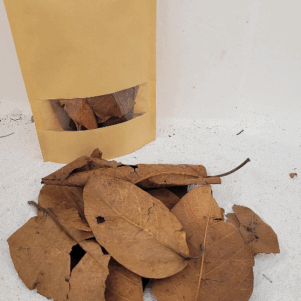 Feuilles de figuier d'Inde (Ficus benghalensis +/-10gr sous kraft