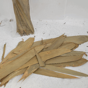Feuilles de bambou +/-10gr (Fargesia nitida)