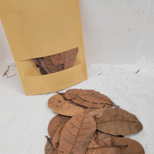 Feuilles de cajou +/-10gr sous kraft (Anacardium occidentale)