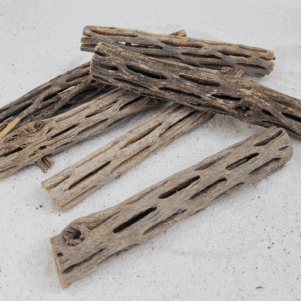 Ecorce de Chola 14-15cm diam 2cm