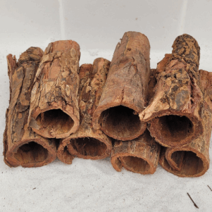 Tube d'écorce de Catappa 10-15cm diam 3-4cm