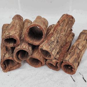 Tube d'écorce de Catappa 10-15cm diam 4-5cm