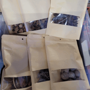 Gousses - Cosses - Fleurs - Etc (Sous kraft)